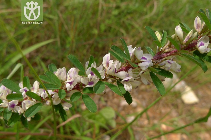 (2).jpg 相邻时间拍摄的照片      张