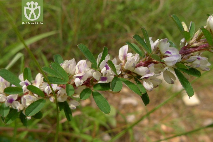 (3).jpg 相邻时间拍摄的照片      张